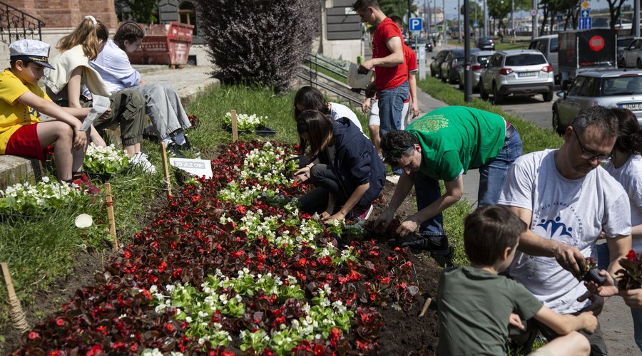 Jó az úr felirat a virágágyásban - Szilágyi Dezső tér - Szeretethíd 2023 - Fotó: Hurta Hajnalka