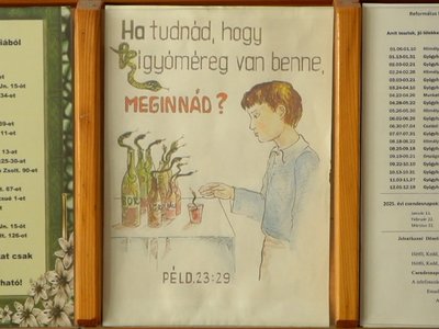 20250509_iszakos_mento_fekvo_borito