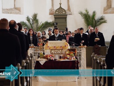 202511_EZISREF_Halaado_nap_fekvo_borito