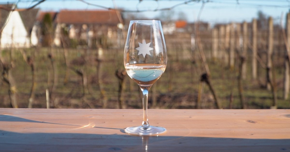 Borum, a Kárpát-medencei Református Szőlészek és Borászok Fóruma (videó)