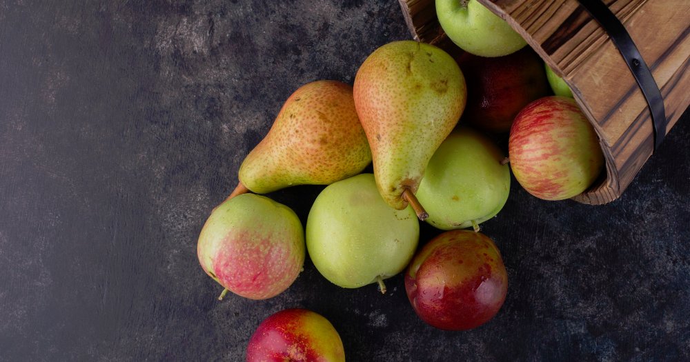 Szabad vagy, vagy nem vagy szabad?