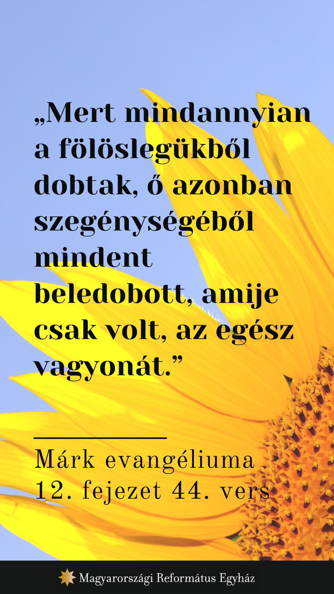Augusztus 14
