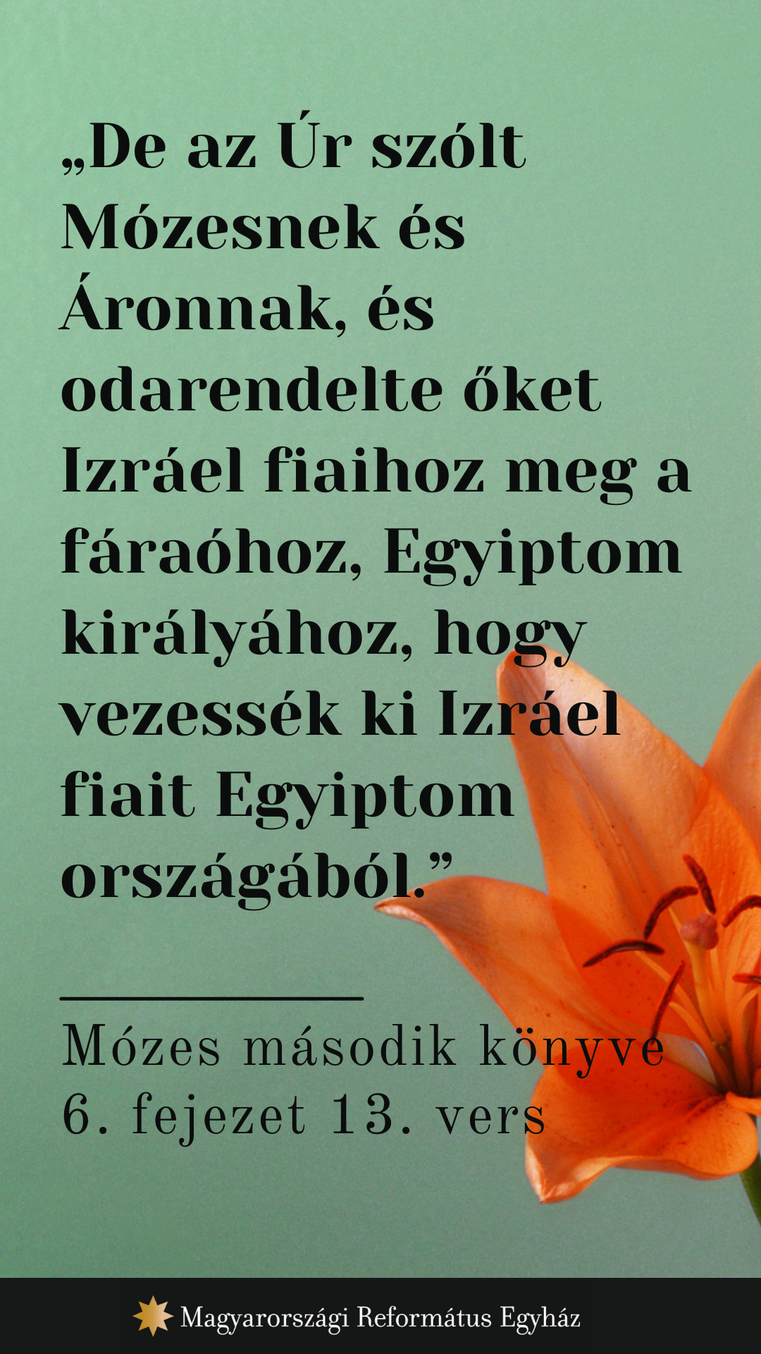 Augusztus 26