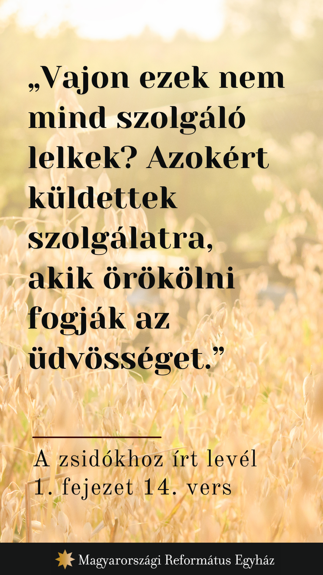 Augusztus 6