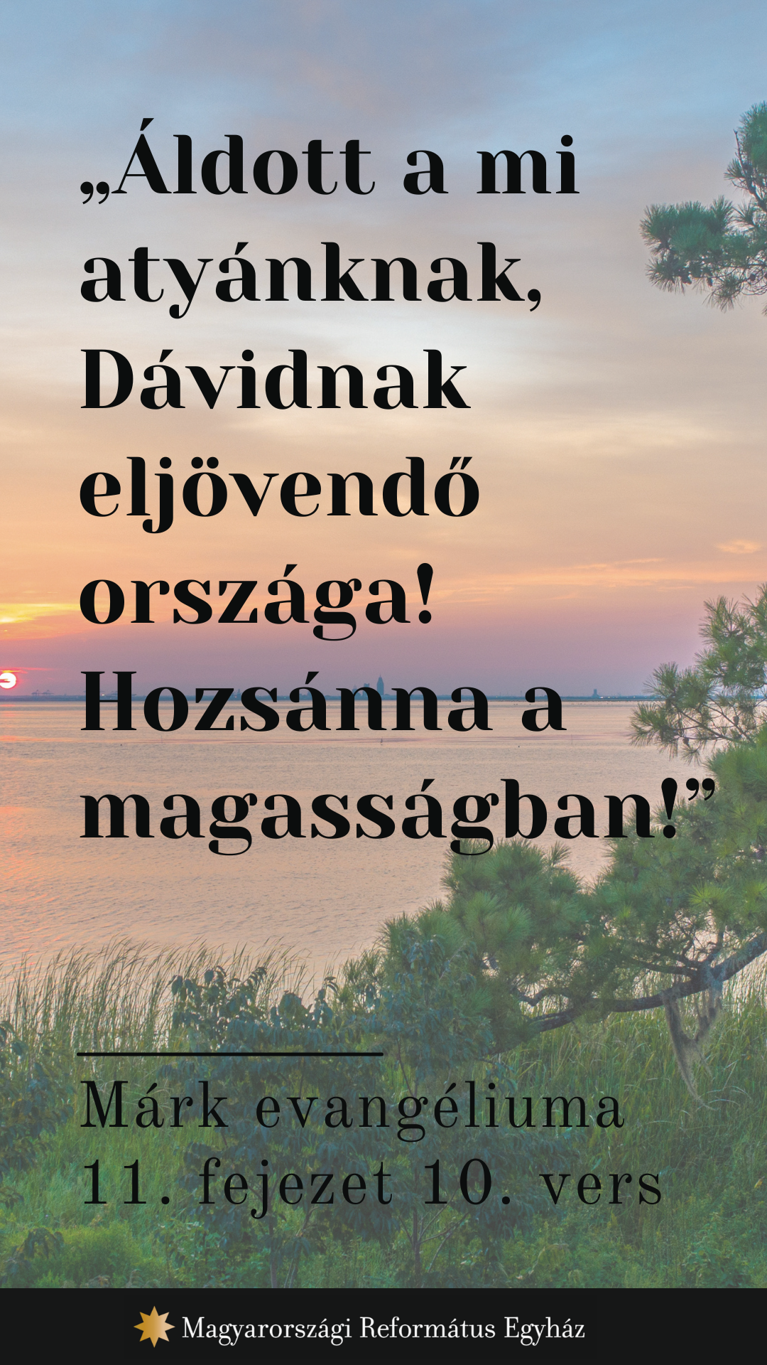Augusztus 8