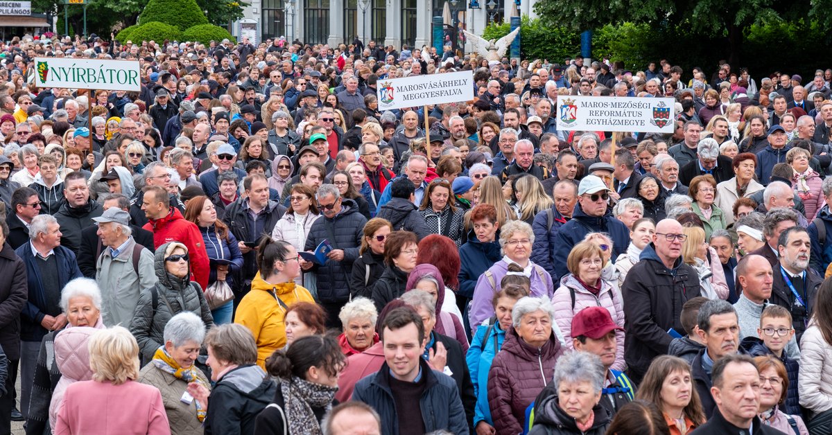 Mily gyönyörű a testvérek egysége