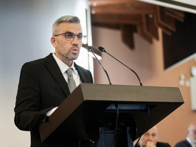 Füsti-Molnár Szilveszter borító