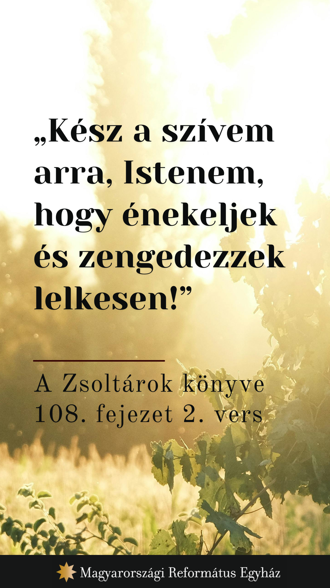 Június 12