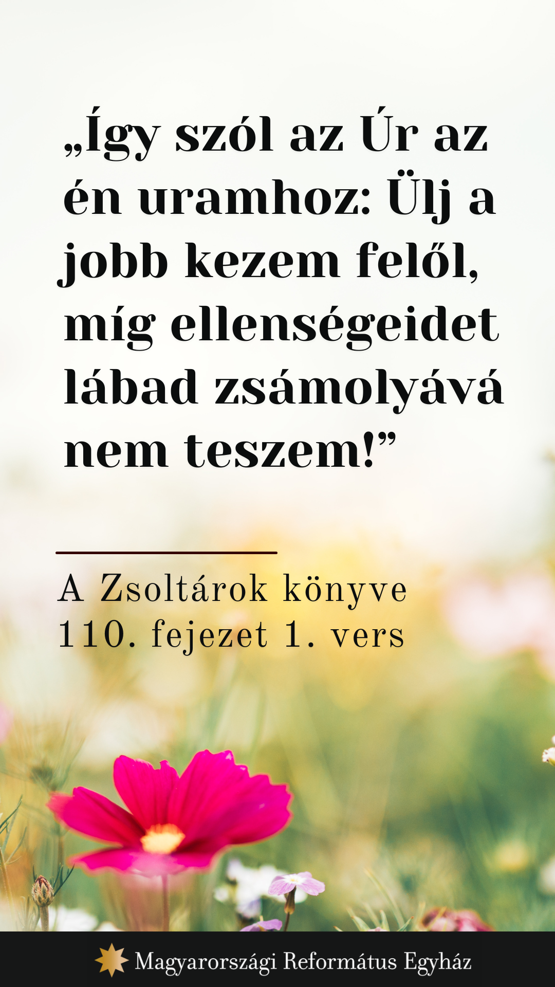Június 14