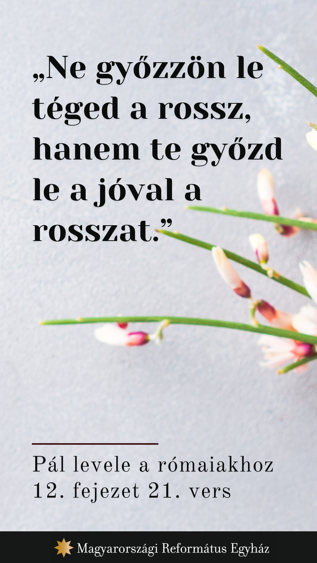 Május 26