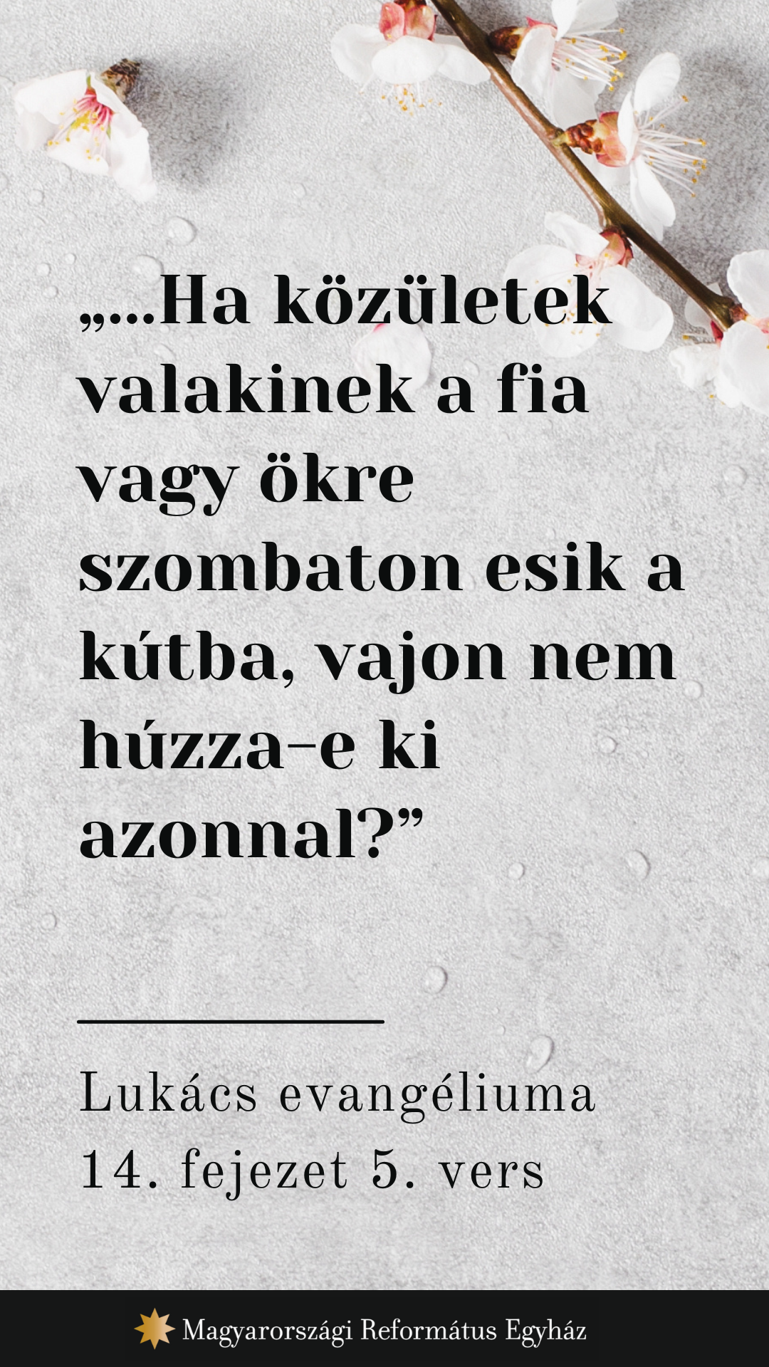 Március 5