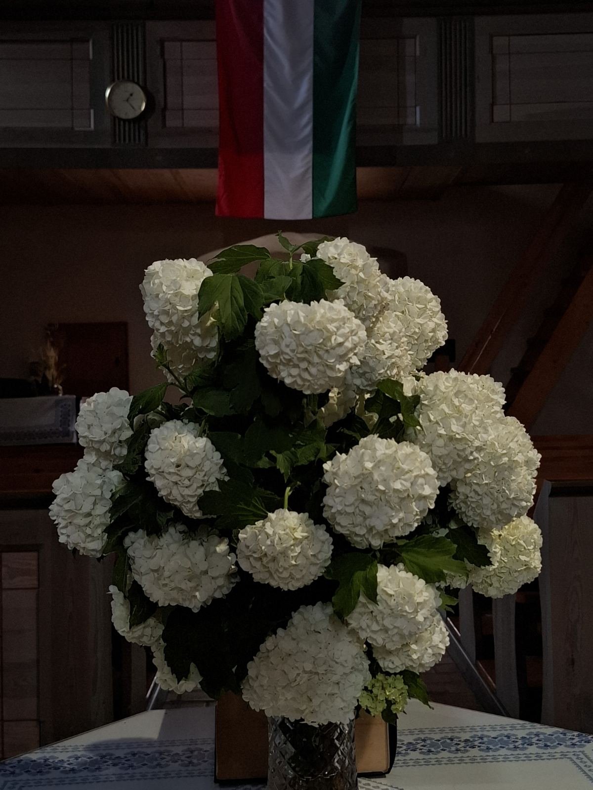 Márokapapi virág