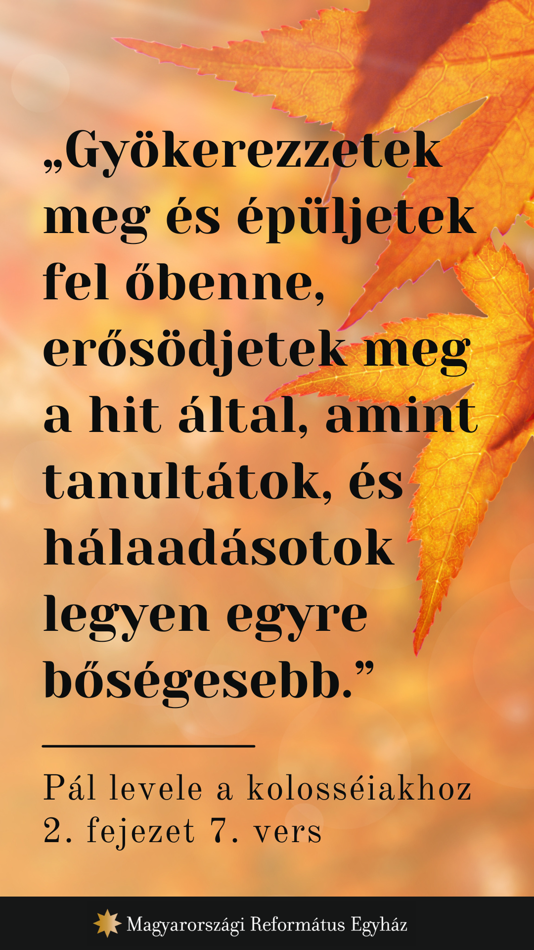 Szeptember 13