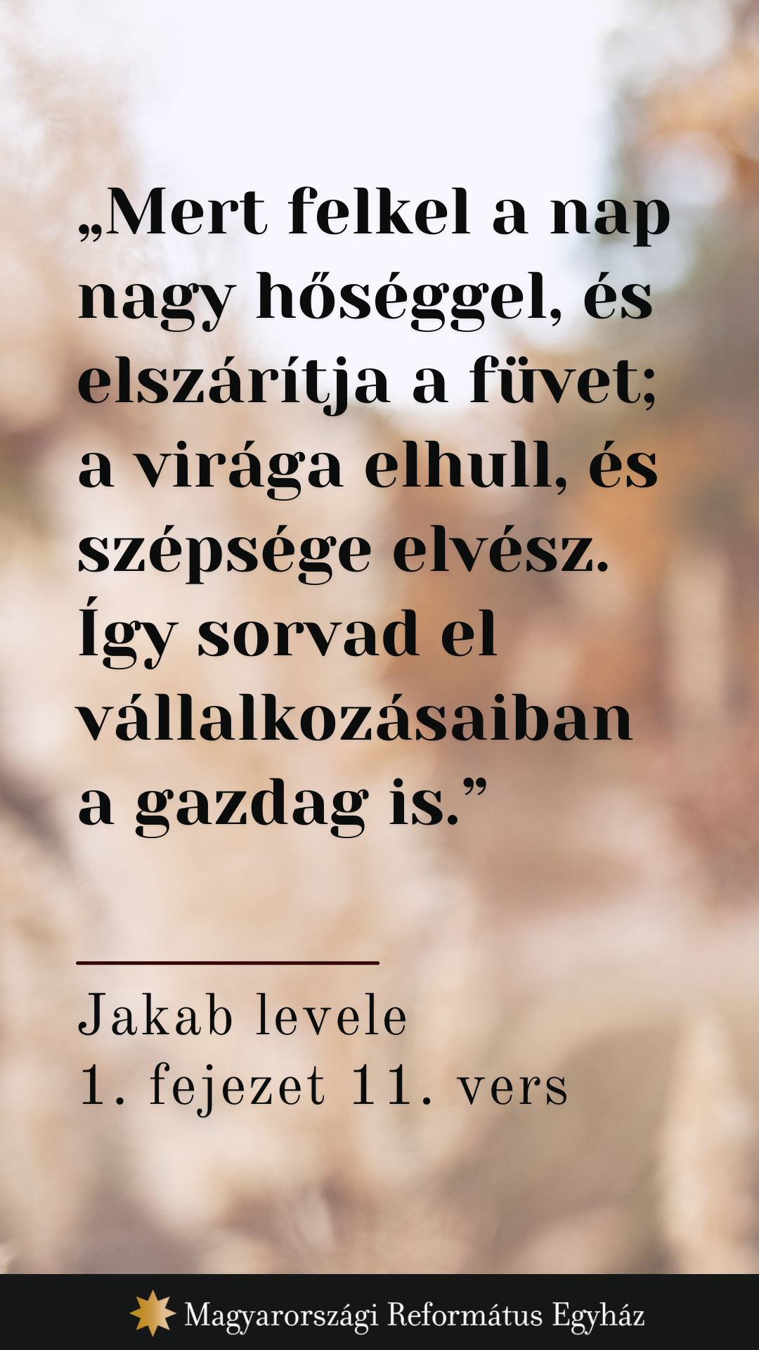 Szeptember 17