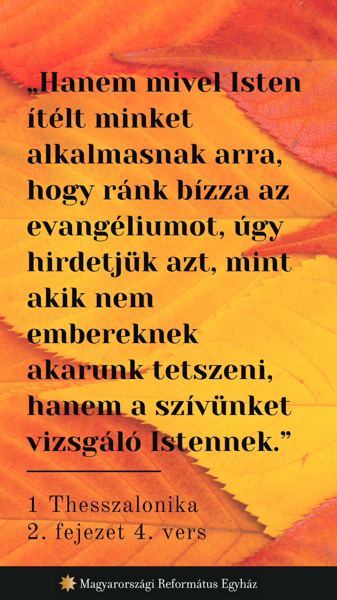 Szeptember 22