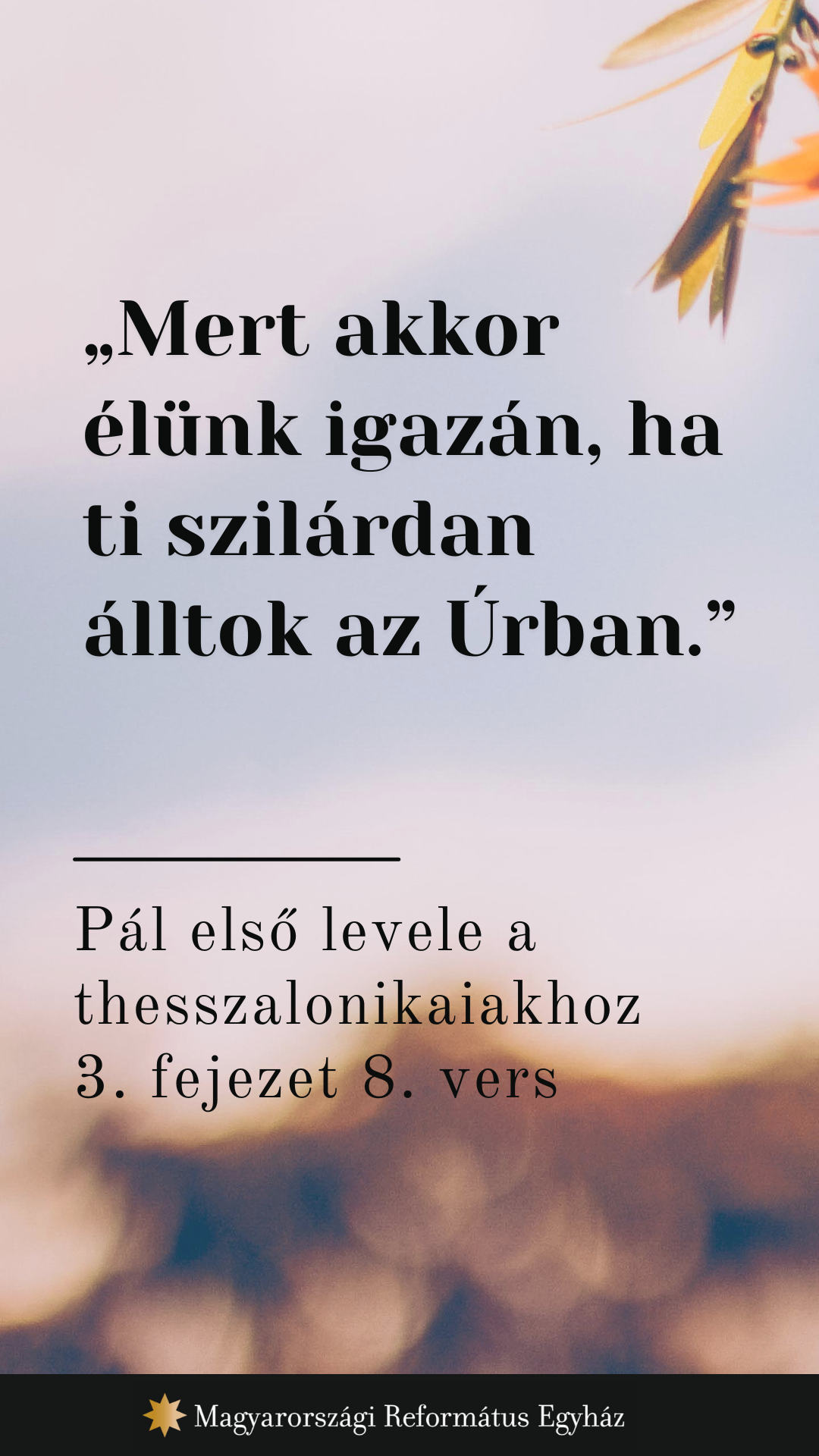 Szeptember 26