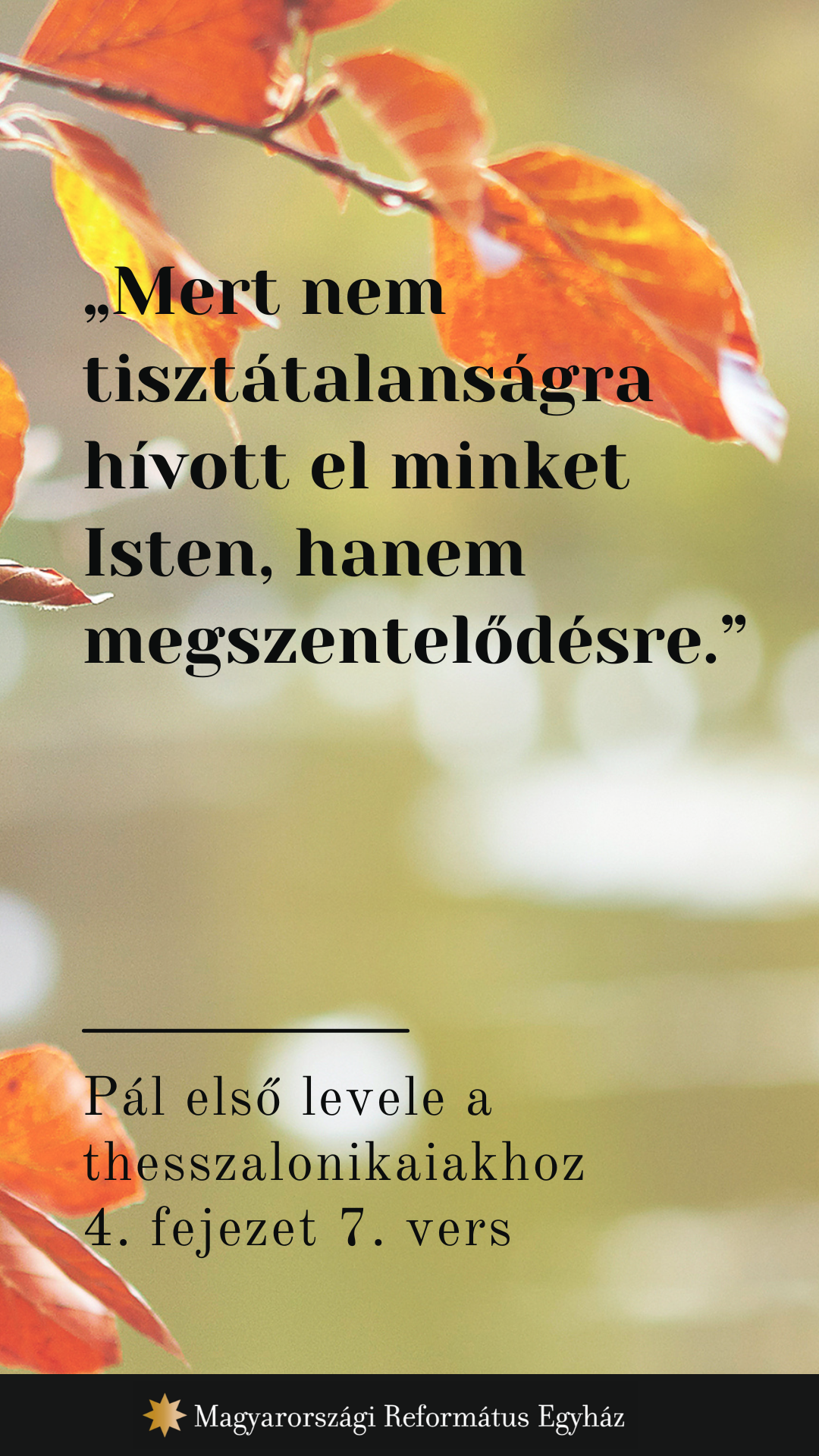 Szeptember 27