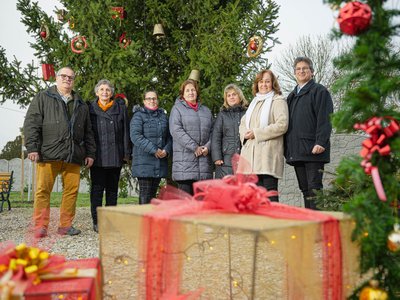 borito Nemesbikk 2025 Magyaródi