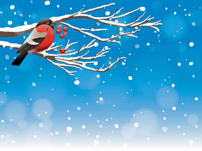 christmas-background-gd968e3f7c_1920.png