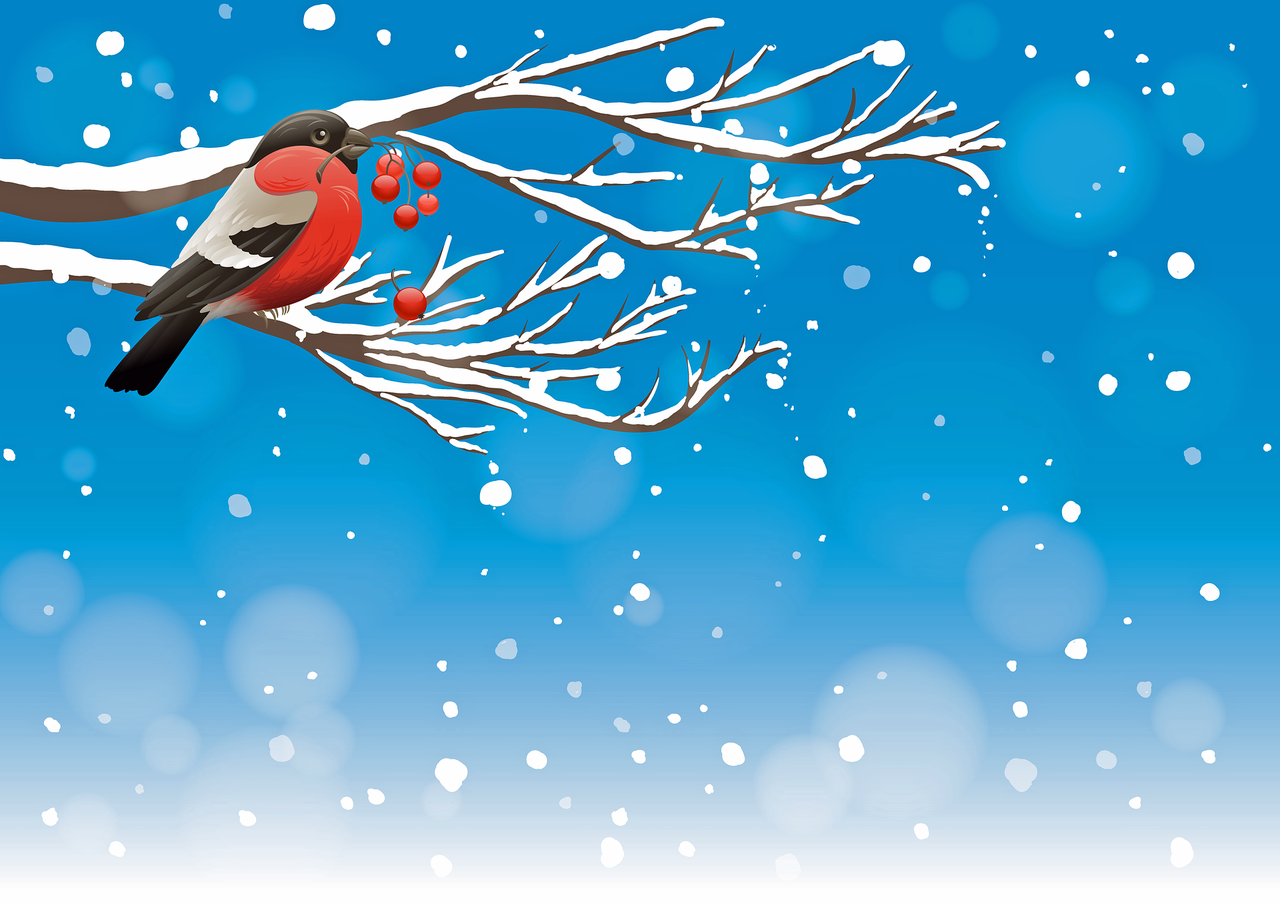 christmas-background-gd968e3f7c_1920.png