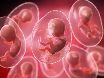 Lombik, baba, élet, születés Fotó: Getty Images  2024