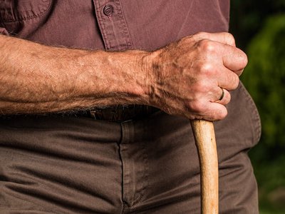 hand-walking-stick-arm-elderly-40141.jpeg