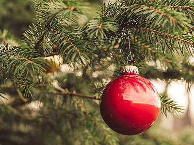 karácsonyfa - fotó: Istockphoto