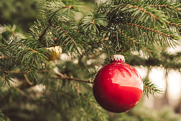 karácsonyfa - fotó: Istockphoto