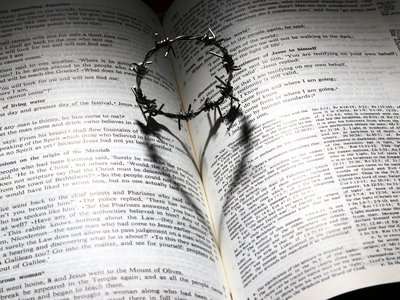 Biblia, tövis, szenvedés, szeretet, etika, publicisztika, jó, Jézus - Fotó: Pixabay