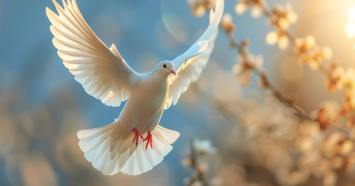 „Akiket pedig Isten Lelke vezérel” – Pünkösdi üzenet a Magyar Református Egyház közösségének