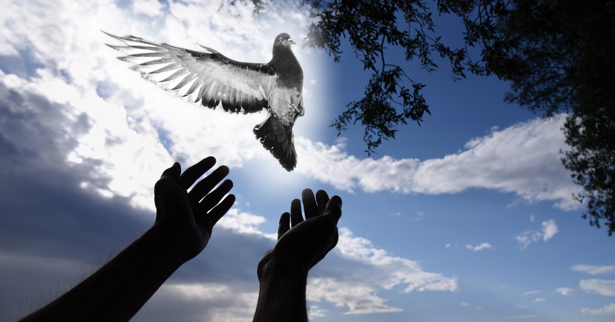 Pünkösdi lélek minden napra!