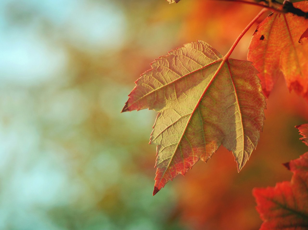 aaron-burden-tym4_ggmevu-unsplash