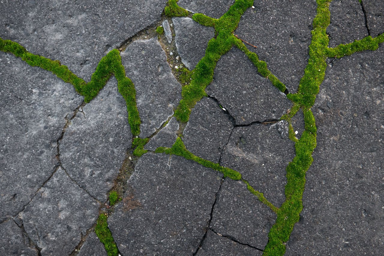 fotó: Nagy Károly Zsolt