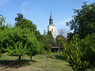 szekszárdi református templom kertje (f. Zalakovicsné Kovács Klára).JPG