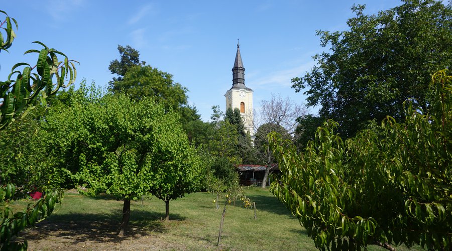 szekszárdi református templom kertje (f. Zalakovicsné Kovács Klára).JPG