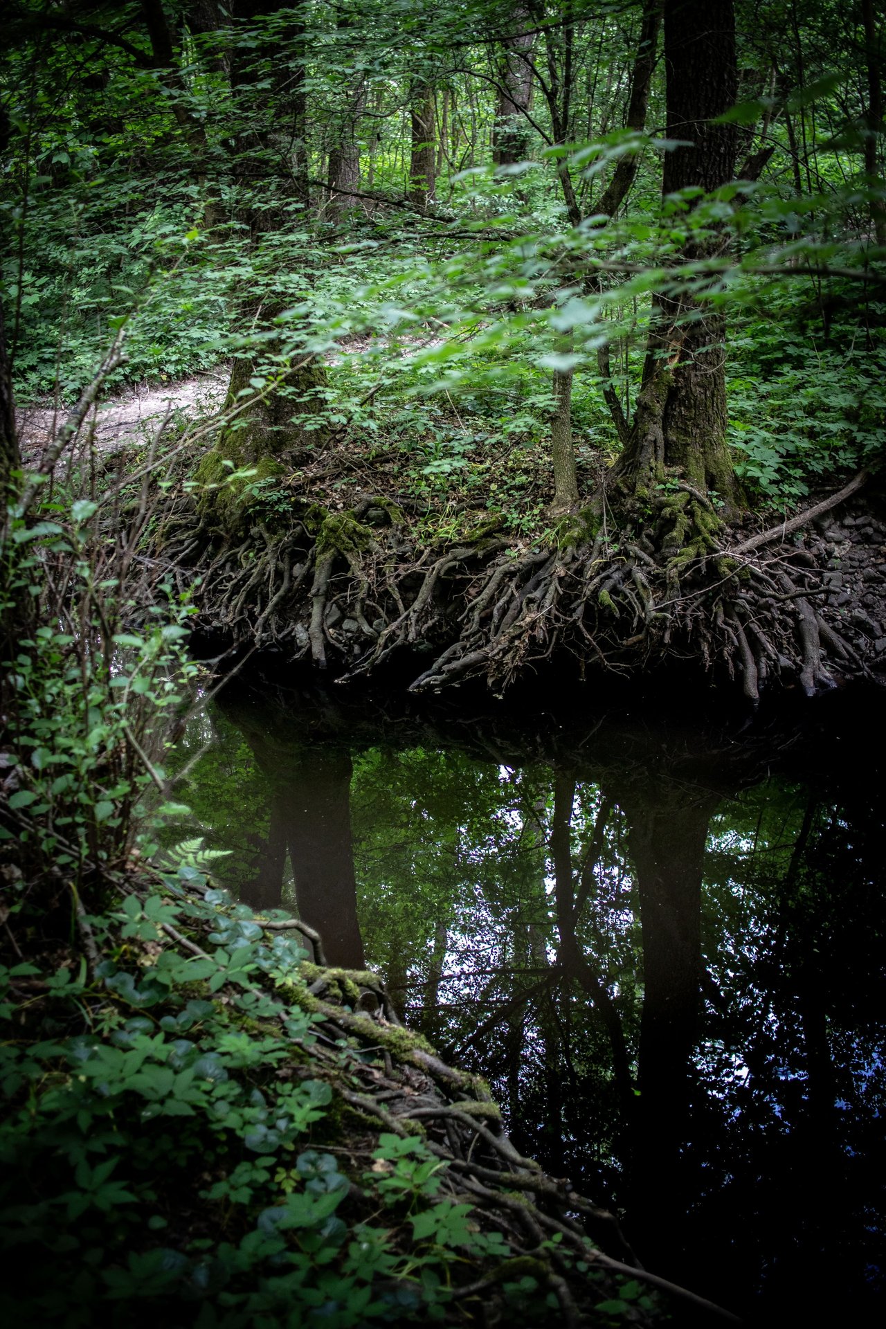 testverek_fotó_Nagy Károly Zsolt