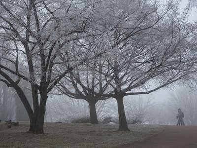 Újév tájkép Hurta Hajnalka